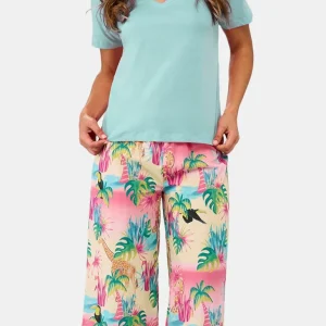 Pyjacorsaire - Oasis