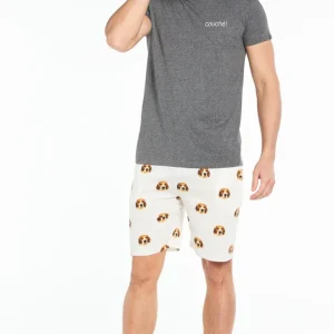 Pyjashort Beagle - Gris