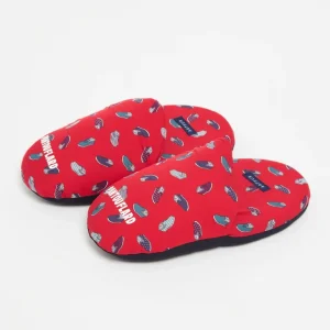 Pantoufles - Pantouflard