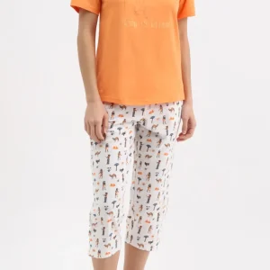 Pyjacorsaire - Reine de la nuit